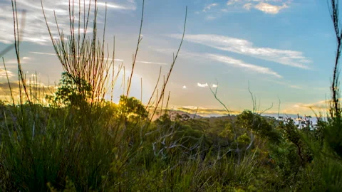 4K Timelapse Sunset Australian Outback Bush Stock Footage 139161401