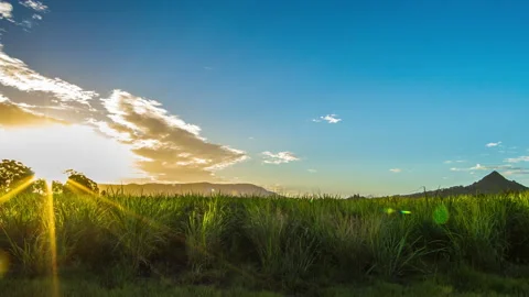 4K Timelapse Sunset Australian Outback Farm Sugarcane Stock Footage 139326288