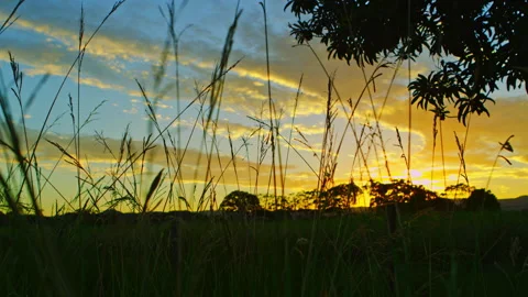 4K Timelapse Sunset Australian Outback Farm Grass Stock Footage 139328134