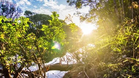 4K Timelapse of Sunset Over River Australian Outback Stock Footage 139325407