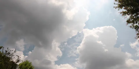 4K Timelapse with trees Video stock 25841977