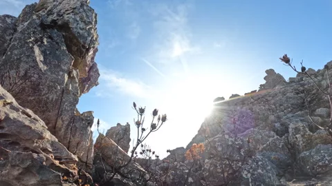 4K TIMELAPSE Unique Fynbos post-fire Riviersonderend Nature Reserve Stock Footage 249747764