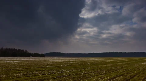 4k timelapse of young cereal field at springtime under heavy cloudy sky. Stock Footage 60965820