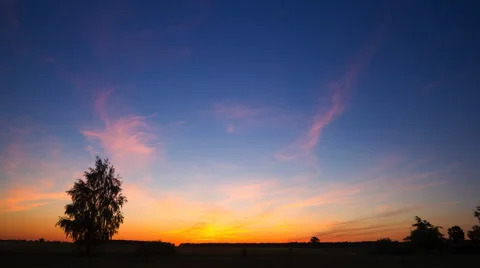 4k timelaspe of twilight over fields and birch tree silhouette.  Stock Footage 63939300