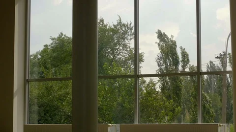 4K timeslapse view from window of the poplar swinging in the wind Stock-Footage 96541527