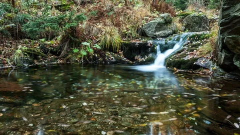 4K Tiny waterfall with leaves inside puddle Stock Footage 125940637