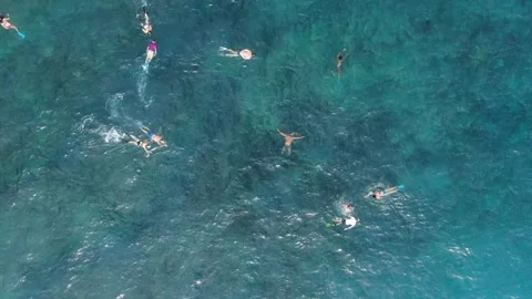 4K Top aerial view over snorkelling tourists in Bali summer holiday Stock Footage 136449809