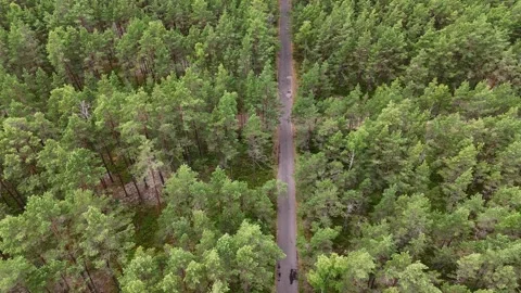 4k Top-down aerial view of a forest intersection 스톡 동영상 290793780
