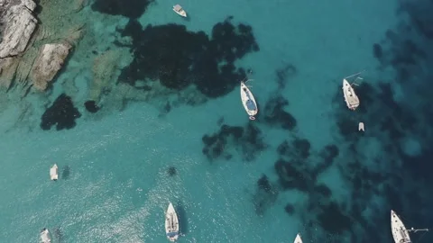4K top down drone footage of anchored sailing boats on tropical waters - Dlog Stock Footage 131565526