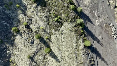 4K Top-Down Drone Footage Flying above Volcanic Dirt Bike Track Vídeos de archivo 318688683