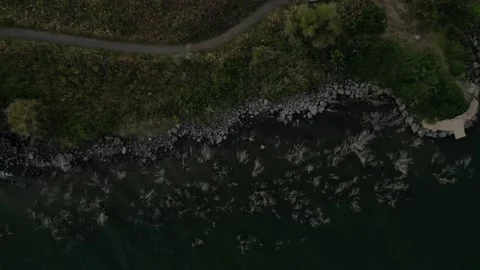 4k Top down drone shot sea of galelee beach Israel holy land Stock Footage 239636135