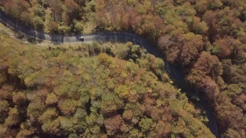 4K Top Down drone video of car on road in the autumn forest Stock Footage 123916829