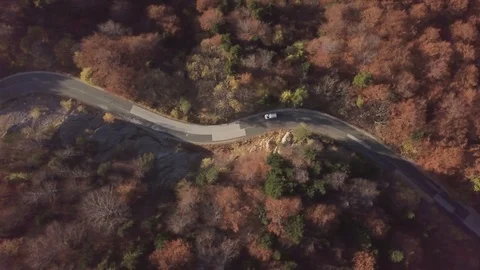 4K Top Down drone video of car on road in the forest Stock Footage 123916898