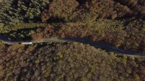 4K Top Down drone video of truck on the road in the Forest  Stock Footage 123917003