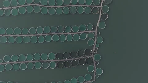 4K Top down drone video of fish ponds 1 Video stock 300293963