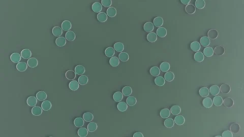 4K Top down drone video of fish ponds 6 스톡 동영상 300294081