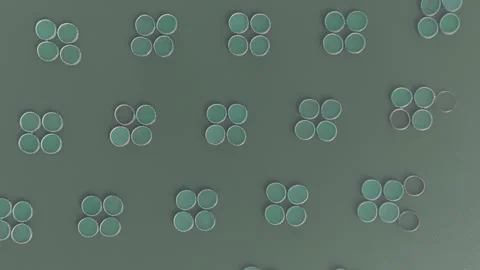 4K Top down drone video of fish ponds 7 Video stock 300294134