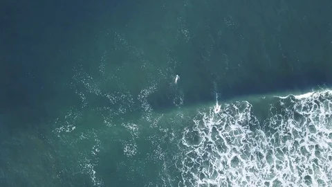 4K Top down shot of camera following surfer riding a wave Stock Footage 115506905