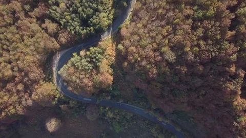 4K Top Down video of windind road in the forest Video stock 123916955