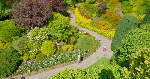 4K Top Down View of the Sunken Gardens Stock Footage 41590247