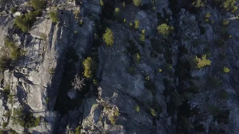 4k Top down view of trees growing out of rocky mountain side Stock Footage 122874238