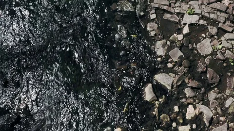 4K Top down view of Water Stream - Nature / Ecology. Stock Footage 129395659