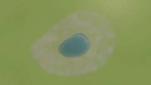 4k top view 3D animation of a drying lake due to global warming Vidéo 345425801
