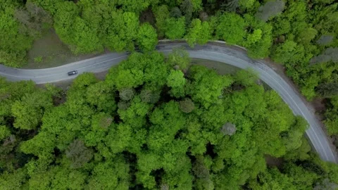 4k Top view of winding road in middle of green forest on summer day irrl. Stock Footage 201276411
