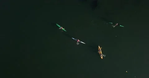 4k topdown drone video above boats 13 Stock Footage 141142105