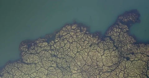 4K Topdown video of abstract texture in the water Video stock 125945282