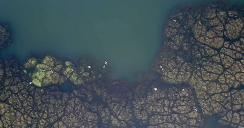 4K Topdown video of abstract texture in the water2 Video stock 125945335