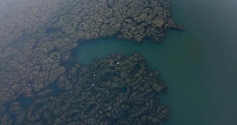 4K Topdown video of abstract texture in the water5 Stock Footage 125945346