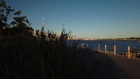 4K Toronto Skyline Establishing Shot from Ontario Place Reveal From Tall Weeds Stock Footage