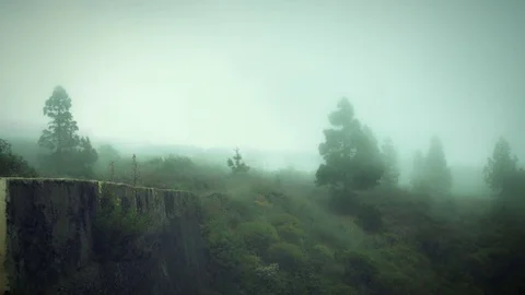 4k Touristic Location in the Cloud, Fog Between Trees Stock Footage 74938518