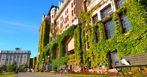 4K Tourists walk on path in front of Ivy covered famous landmark Empress Hotel Stock Footage 51725592