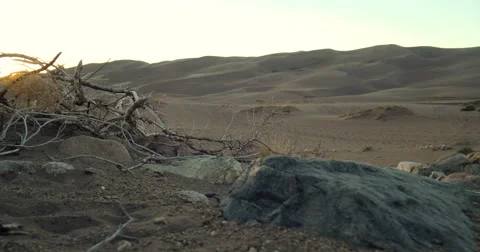 4K tracking moving dolly shot rocky desert ground with sand dunes at dusk Stock Footage 57289081