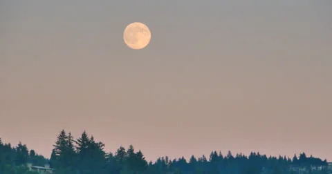 4K Tracking Shot of Moon Behind Distant Hills at Dusk Video stock 46994686