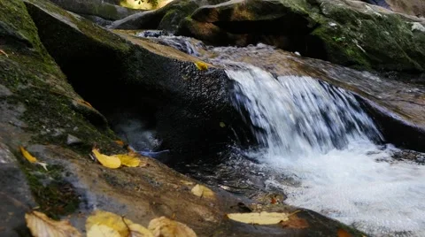 4K Tracking Shot Mountain Stream Stock Footage 68267693