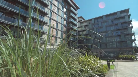 4K tracking shot plants in front of modern apartment block Stock Footage 102034341