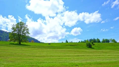 4k a tractor rides to a tree in a blue sky, a beautiful landscape Stock Footage 276372493