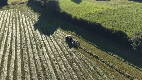 4K Tractor Turning Hay for Drying in Agricultural Field Stockbeeldmateriaal 339027541