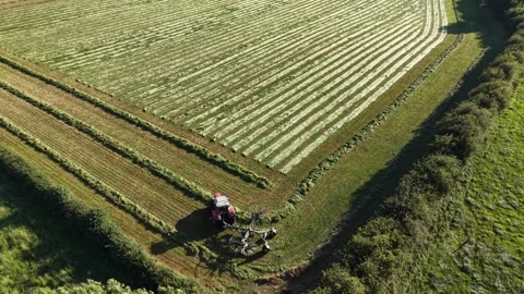 4K Tractor Turning Hay for Drying in Agricultural Field Stockbeeldmateriaal 339027554