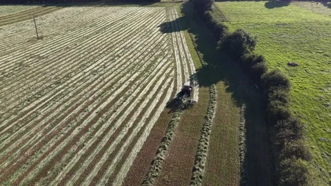 4K Tractor Turning Hay for Drying in Agricultural Field Stock Footage 339027555