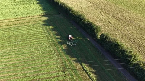 4K Tractor Turning Hay for Drying in Agricultural Field Stockbeeldmateriaal 339028063