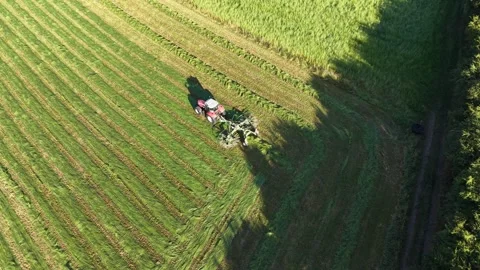 4K Tractor Turning Hay for Drying in Agricultural Field Vidéo 339028097