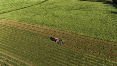 4K Tractor Turning Hay for Drying in Agricultural Field Stock Footage 339028108