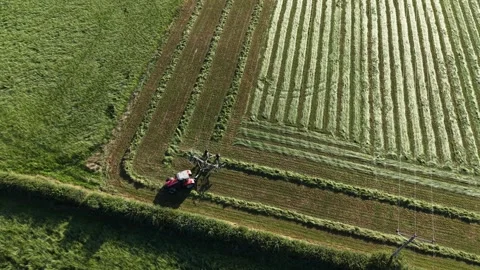 4K Tractor Turning Hay for Drying in Agricultural Field Stockbeeldmateriaal 339028119