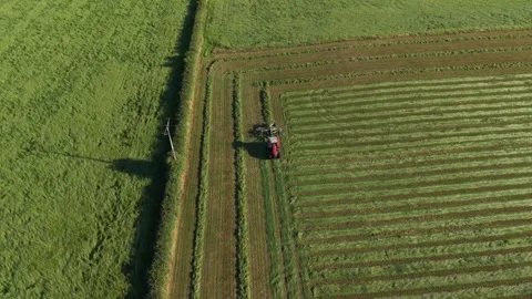 4K Tractor Turning Hay for Drying in Agricultural Field Stockbeeldmateriaal 339028120