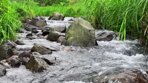 4K Tranquil River Stream Flowing Over Rocks in Nature for Relaxation Video stock 311576367