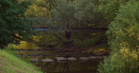 4K Tranquil View of a Charming Creek and Small Bridge on a Sunny Day Stock Footage 245416694